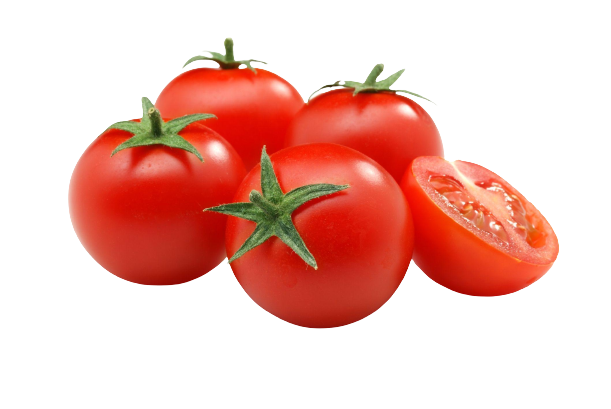 tomatoes